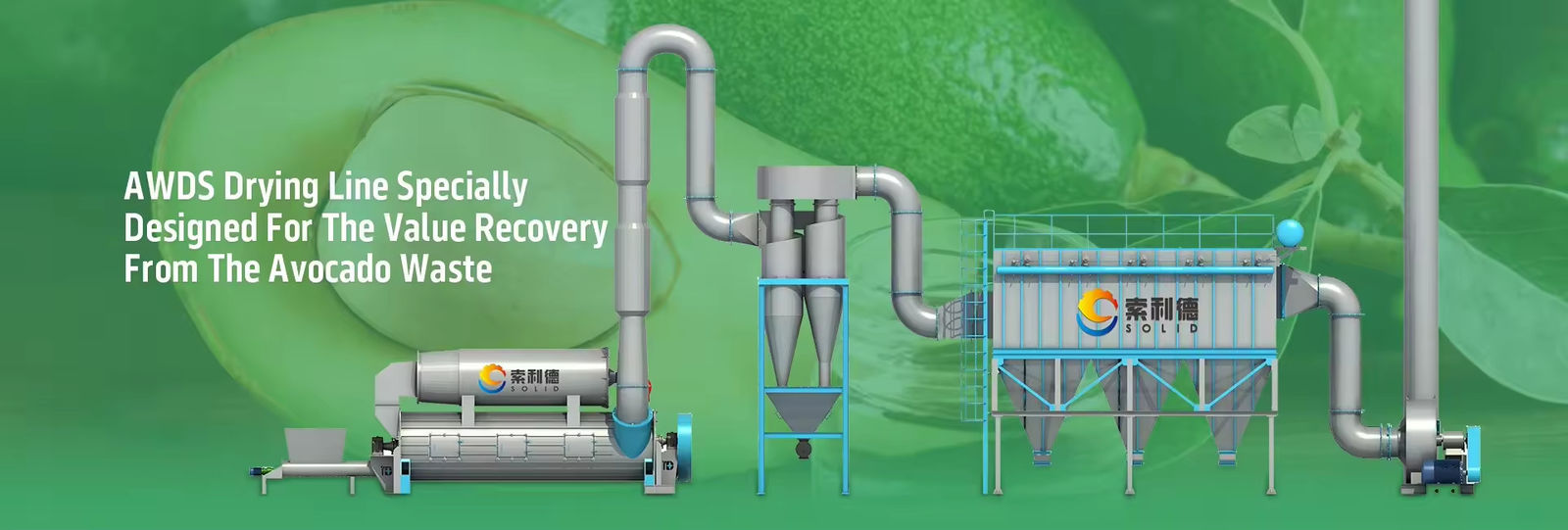 Olive Oil Extraction Line