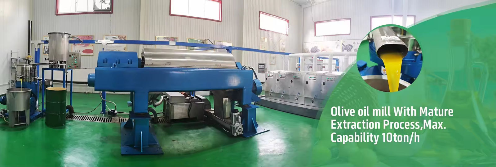 Avocado Oil Extraction Line