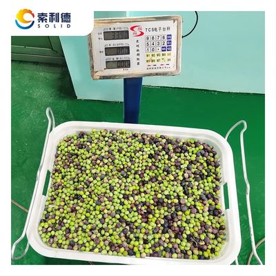 Yield 22kw Installation Power EVOO-250 Olive Oil Extraction Line for 3500 KG/H Output