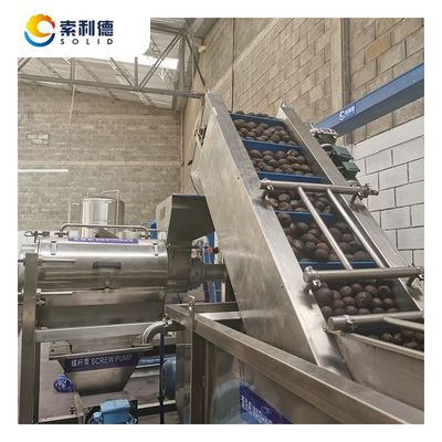 200kg/h Avocado Oil Extraction Machine with 2 Phase Decanter Centrifuge SUS304 Material
