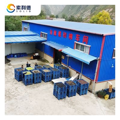 Max Capacity 2000kg/h Olive Oil Cold Press Machine By 2 Phase Centrifuge Extraction