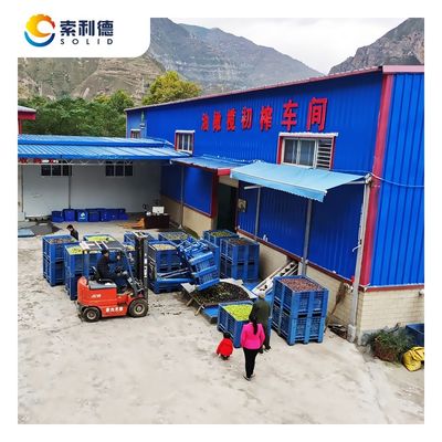8T/H Extra Virgin Avocado Oil Extraction Machine With 3 Phase Decanter Centrifuge