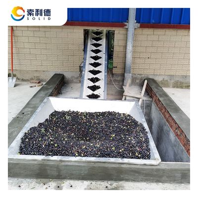 5T/H Olive Oil Extractor Powered by 130kw Installation and 3 Phase Decanter Centrifuge
