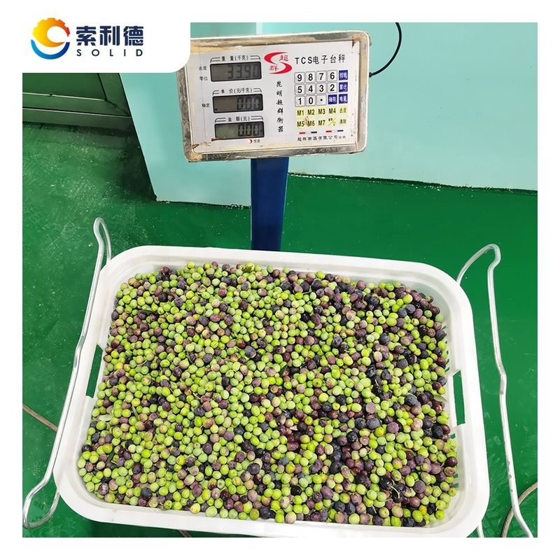 Yield 22kw Installation Power EVOO-250 Olive Oil Extraction Line for 3500 KG/H Output