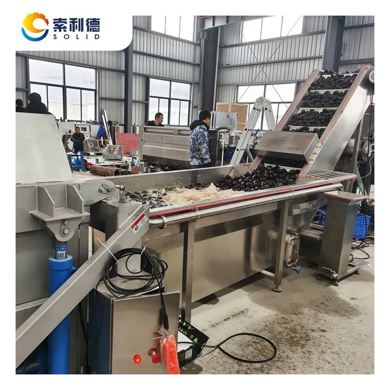 5-6T/H Centrifuge Extraction Avocado Oil Extraction Machine With Seed and Skin Removal