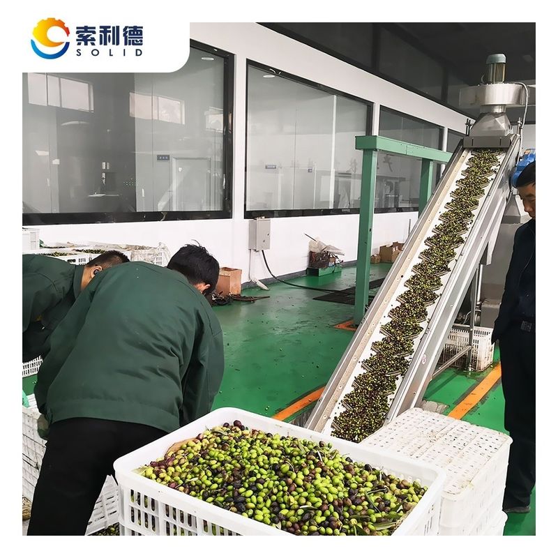 130kw Power EVOO-5000 5000KG/H Extra Virgin Olive Oil Processing Plant for Oil