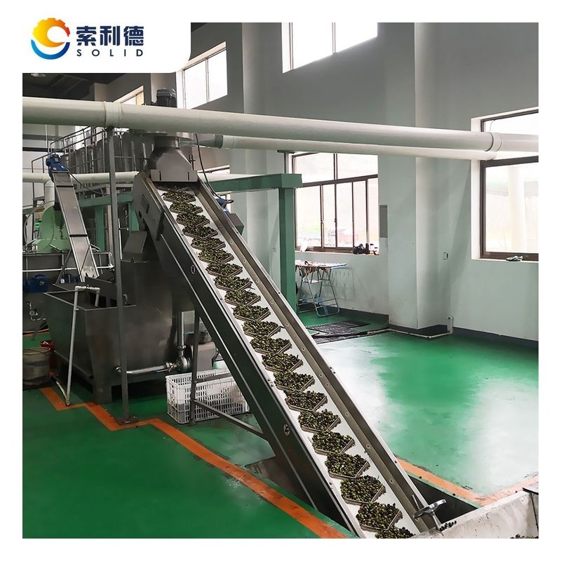 Long Service Life EVOO-3500 3500KG/H Extra Virgin Olive Oil Mill by Cold Pressed Machine