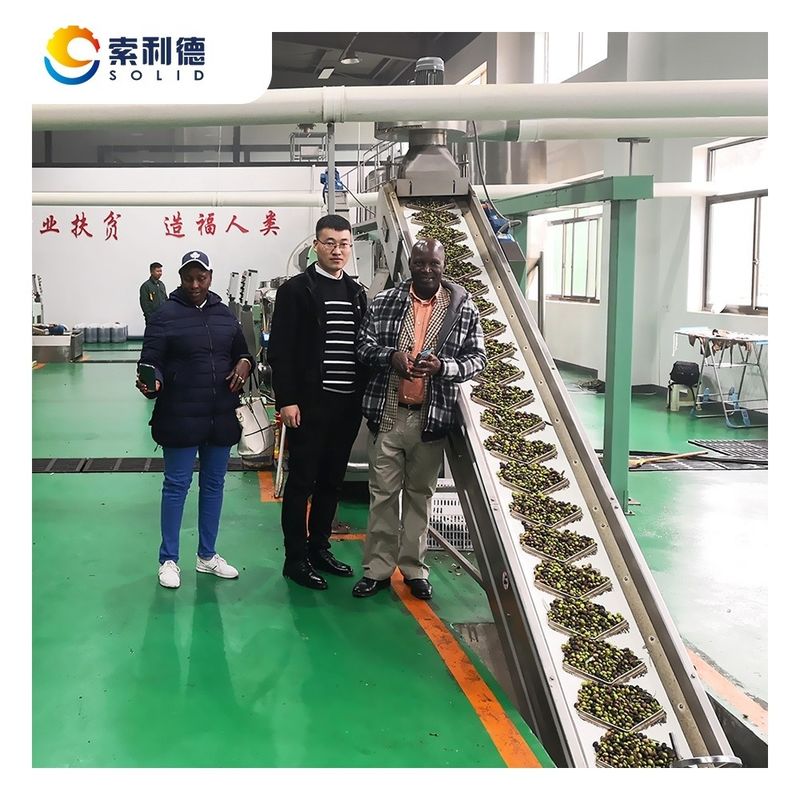 High Oil Yield Olive Oil Extraction Machine by Centrifuge Method EVOO-3500 3-4TPH